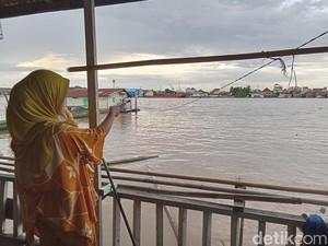 Warga Palembang Diresahkan Buaya di Sungai Musi, Ini Kata BKSDA