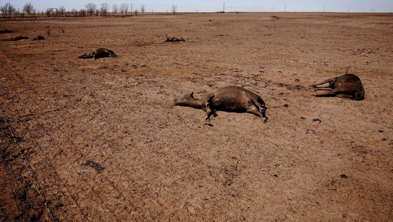Sebuah rumah yang hancur akibat kebakaran hutan Smokehouse Creek terletak di sebelah rumah yang lolos dari kobaran api di Kanada, Texas, AS, 28 Februari 2024. (REUTERS/Nick Oxford)