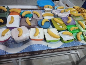 3 SD di Solo Uji Coba Makan Bergizi Gratis 25 Juli, Dibiayai Gibran