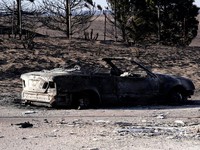 Potret Rumah-Mobil Hangus Terbakar Buntut Kebakaran Hutan Texas