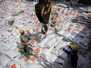 Ekspor Beras dari 3 Negara Tetangga Diramal Anjlok Imbas Produksi RI Naik