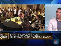 Video: RI Jadi Pemegang Saham Terbesar Vale, Ini Kisah di Baliknya