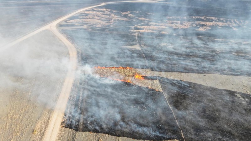 Dinas Kehutanan Texas A&M melaporkan bahwa enam kebakaran besar, yang dipicu oleh suhu panas saat musim dingin dan angun kencang, masih berkobar secara aktif, Texas, Amerika Serikat. (REUTERS/Nathan Frandino)