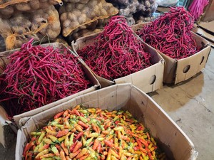 Harga Cabai Rawit Merah di Pasar Palembang Turun Jadi Rp 44.000 per Kg