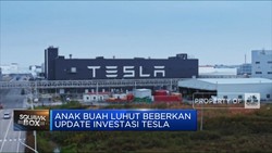 Video: Anak Buah Luhut Buka-bukaan Rencana Investasi Tesla di RI