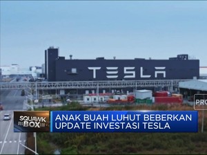 Video: Anak Buah Luhut Buka-bukaan Rencana Investasi Tesla di RI