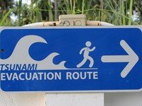 Ternyata 2 Tsunami di RI Ini Bukan Disebabkan Gempa Bumi