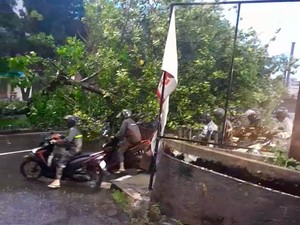 Tolong! Ada Pohon Tumbang di Tengah Jalan Arah Pondok Indah Mall Bikin Macet