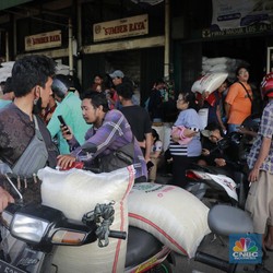Harga Beras di Pasar Induk Cipinang Mulai Turun, Cek Nih Harganya
