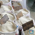 Bos Bulog Beberkan Pengaruh Bansos Jokowi ke Harga Beras, Ternyata Ini