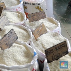 Bos Bulog Beberkan Pengaruh Bansos Jokowi ke Harga Beras, Ternyata Ini