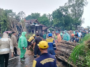 Pohon Tumbang Akibat Hujan Deras Sempat Lumpuhkan Jalur Garut-Tasik