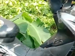 Saksi Dengar Ledakan Sebelum Saifullah Ditemukan Tewas dengan Luka Bakar