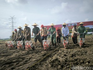Pangdam Brawijaya Pimpin Tanam Jagung dan Padi di Gresik
