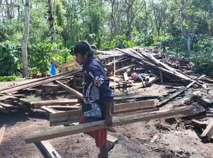 18 Gajah Rusak Fasilitas Wisata di Kabupaten Lampung Barat