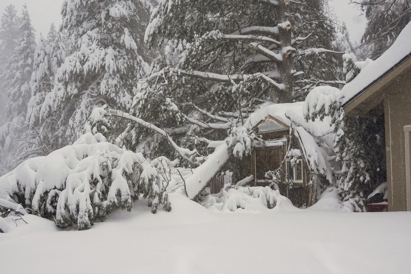 Badai salju besar melanda sebagian wilayah California dan Nevada di Amerika Serikat (AS) bagian barat. (AP Photo/Brooke Hess-Homeier) Badai salju besar melanda sebagian wilayah California dan Nevada di Amerika Serikat (AS) bagian barat. (AP Photo/Brooke Hess-Homeier)
