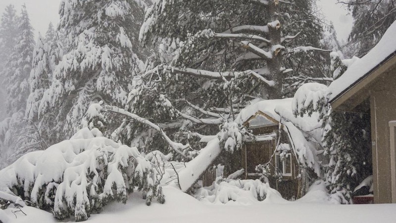 Badai salju besar melanda sebagian wilayah California dan Nevada di Amerika Serikat (AS) bagian barat. (AP Photo/Brooke Hess-Homeier)