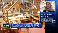 Didorong Naik Kelas, UMKM Hingga Ultra Mikro Perlu Ekstra Insentif