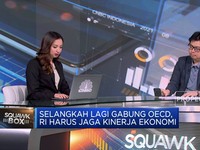 Video: Gabung ke OECD, RI Harus Jaga Kinerja Ekonomi