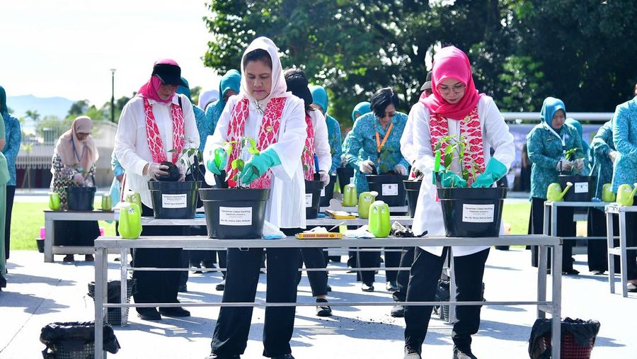Ibu Negara Iriana Joko Widodo bersama Istri Wakil Presiden Wury Estu Handayani mendorong gerakan tanam cabai nasional bersama Tim Penggerak Pemberdayaan Kesejahteraan Keluarga (TP PKK) di Alun-Alun Cirimekar, Cibinong, Kabupaten Bogor, Jawa Barat, Senin (4/3/2024). (Dok. Sekretariat Presiden)