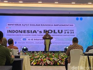KLHK: Norwegia Kucurkan USD 156 Juta ke RI untuk Perangi Deforestasi Hutan