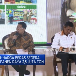Video: Harga Beras Segera Turun Jelang Panen Raya