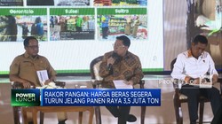 Video: Harga Beras Segera Turun Jelang Panen Raya
