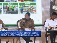 Video: Harga Beras Segera Turun Jelang Panen Raya