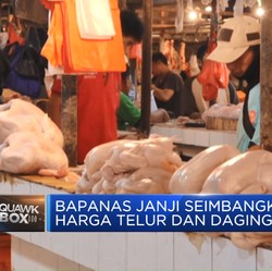Video: Bapanas Janji Seimbangkan Harga Telur & Daging Ayam