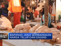 Video: Bapanas Janji Seimbangkan Harga Telur & Daging Ayam