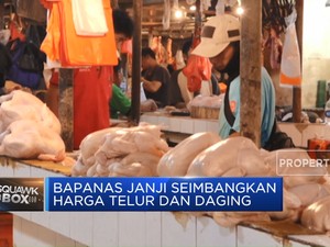 Video: Bapanas Janji Seimbangkan Harga Telur & Daging Ayam