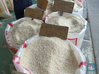 Lapor Pak Jokowi! Harga Beras di Pasar Induk Cipinang Mulai Turun