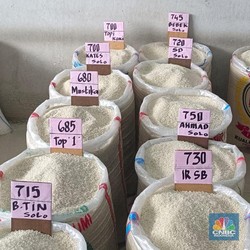 Kenaikan HET Beras Berlanjut, Diperpanjang Sampai 31 Mei 2024