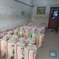 50% Lebih Stok Beras RI Ada di Rumah Tangga, Bulog Cuma Punya Segini