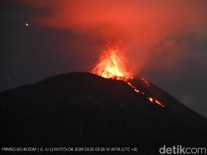 Setelah Lewotobi Laki-laki, Giliran Gunung Ile Lewotolok di Flores Meletus