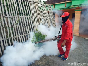 Dokter Ingatkan Orang Tua Waspadai DBD pada Anak Saat Musim Hujan