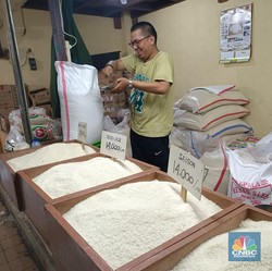 RI Impor Beras 880.820 Ton di Awal Tahun, Ini 3 Negara Asalnya!