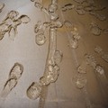 Pemandangan jejak kaki orang di lumpur setelah Sungai Acre meluap akibat hujan lebat, di Cobija, Bolivia 3 Maret 2024. (REUTERS/Claudia Morales)