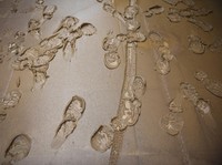 Pemandangan jejak kaki orang di lumpur setelah Sungai Acre meluap akibat hujan lebat, di Cobija, Bolivia 3 Maret 2024. (REUTERS/Claudia Morales)