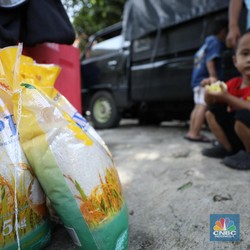 250 Ribu Ton Beras Murah Segera Diguyur Pemerintah, Kapan?