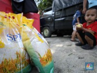 250 Ribu Ton Beras Murah Segera Diguyur Pemerintah, Kapan?