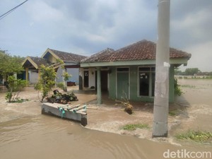 Tanggul Sungai Sadar Mojokerto Jebol, 500 Rumah dan 97 Ha Sawah Terendam