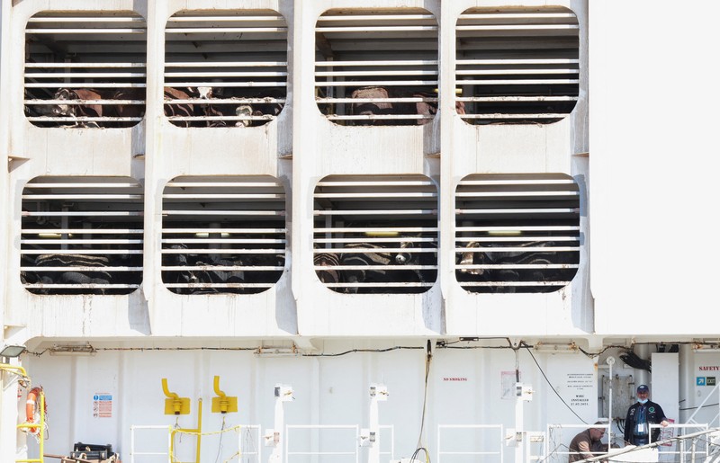 A drone view shows a Kuwaiti 'death ship' carrying thousands of cattle whose foul smell caused a stink in top tourist city Cape Town, at the Umm Qasr port, in Basra, Iraq March 6, 2024. REUTERS/Essam al-Sudani