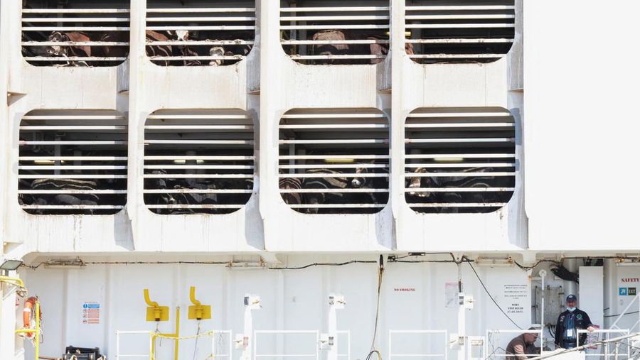 A drone view shows a Kuwaiti 'death ship' carrying thousands of cattle whose foul smell caused a stink in top tourist city Cape Town, at the Umm Qasr port, in Basra, Iraq March 6, 2024. REUTERS/Essam al-Sudani
