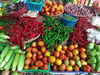 Bikin Kaget! RI Ternyata Impor Cabai-Bawang Putih dari Singapura