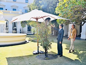 Jokowi Interaksi dengan Koala di Sela Makan Siang KTT ASEAN-Australia