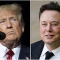 Bisnis Berdarah-Darah, Trump Minta Bantuan Elon Musk
