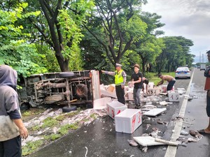 Pikap Bawa Cumi Terbalik di Tol Makassar, Muatan Berhamburan di Jalan