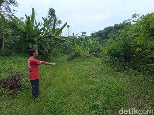 Viral ABG Lelaki di Cirebon Dirundung Teman, Dipukuli-Ditendang