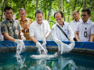 Trenggono: Lele Pasarnya Besar di DIY, Berapapun Produksinya Terserap